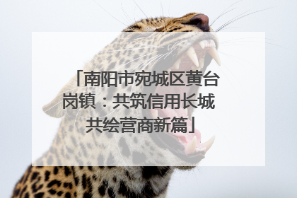 南阳市宛城区黄台岗镇：共筑信用长城 共绘营商新篇