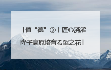 值“德”③丨匠心浇灌 隆子高原培育希望之花