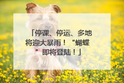 停课、停运、多地将迎大暴雨！“蝴蝶”即将登陆！