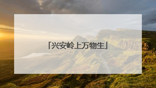 兴安岭上万物生