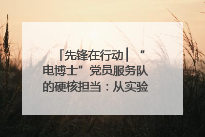 先锋在行动 ▏“电博士”党员服务队的硬核担当：从实验室到抗洪一线