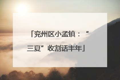兖州区小孟镇：“三夏”收割话丰年
