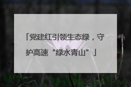 党建红引领生态绿，守护高速“绿水青山”