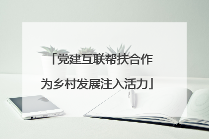 党建互联帮扶合作 为乡村发展注入活力