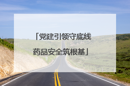 党建引领守底线 药品安全筑根基