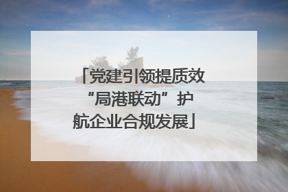 党建引领提质效 “局港联动”护航企业合规发展
