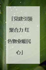 党建引领聚合力 红色物业暖民心