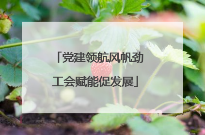 党建领航风帆劲 工会赋能促发展