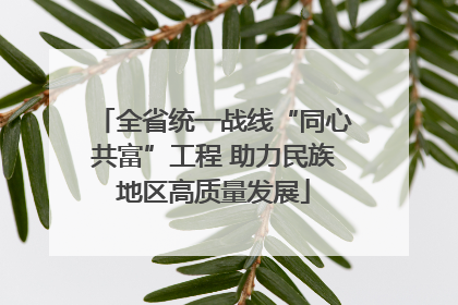 全省统一战线“同心共富”工程 助力民族地区高质量发展