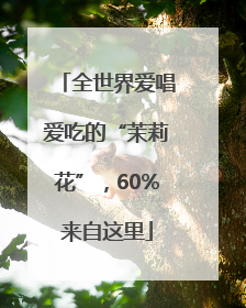 全世界爱唱爱吃的“茉莉花”，60%来自这里