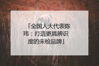 全国人大代表陈玮：打造更具辨识度的未检品牌