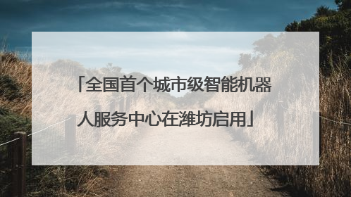 全国首个城市级智能机器人服务中心在潍坊启用