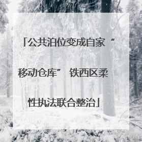 公共泊位变成自家“移动仓库” 铁西区柔性执法联合整治