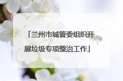 兰州市城管委组织开展垃圾专项整治工作
