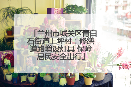 兰州市城关区青白石街道上坪村：修缮道路增设灯具 保障居民安全出行