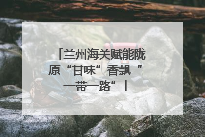 兰州海关赋能陇原“甘味”香飘“一带一路”