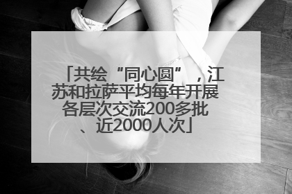 共绘“同心圆”，江苏和拉萨平均每年开展各层次交流200多批、近2000人次