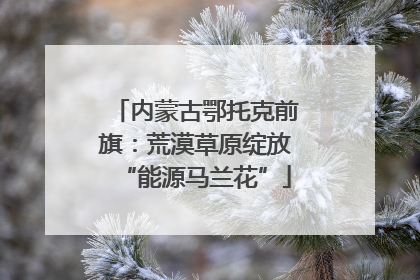 内蒙古鄂托克前旗：荒漠草原绽放“能源马兰花”