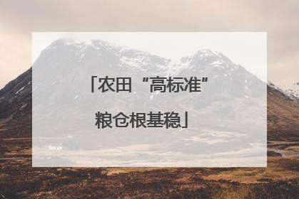 农田“高标准” 粮仓根基稳