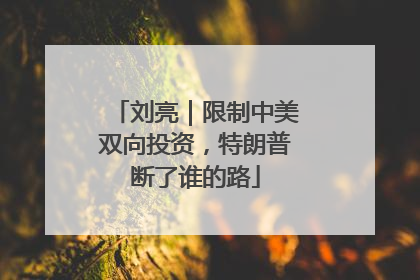 刘亮｜限制中美双向投资，特朗普断了谁的路