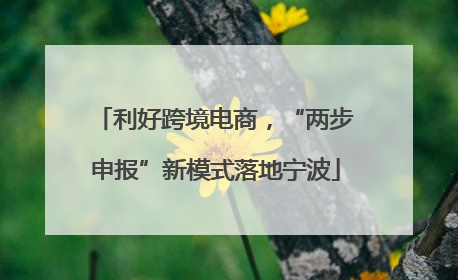 利好跨境电商，“两步申报”新模式落地宁波