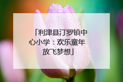 利津县汀罗镇中心小学：欢乐童年 放飞梦想