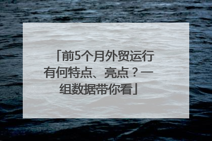 前5个月外贸运行有何特点、亮点？一组数据带你看