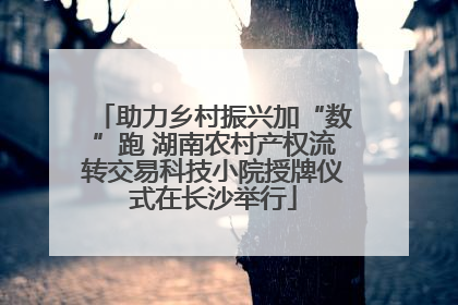 助力乡村振兴加“数”跑 湖南农村产权流转交易科技小院授牌仪式在长沙举行