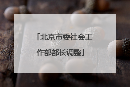 北京市委社会工作部部长调整
