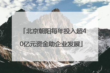 北京朝阳每年投入超40亿元资金助企业发展