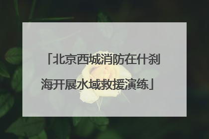 北京西城消防在什刹海开展水域救援演练