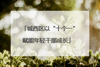 城西区以“十个一”赋能年轻干部成长
