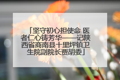 坚守初心担使命 医者仁心铸芳华——记陕西省商南县十里坪镇卫生院副院长贾胡委