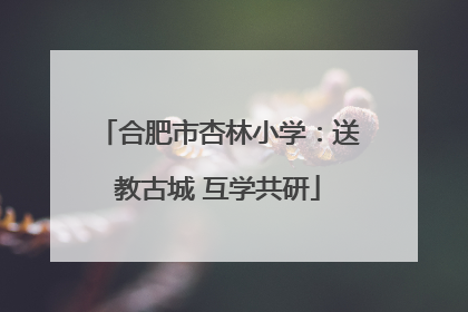 合肥市杏林小学：送教古城 互学共研