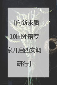 向新求质 10国外籍专家开启西安调研行