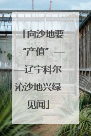 向沙地要“产值”——辽宁科尔沁沙地兴绿见闻