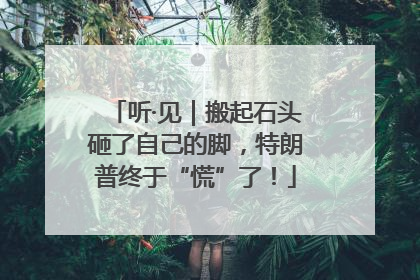 听·见｜搬起石头砸了自己的脚，特朗普终于“慌”了！