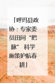 呼玛县政协：专家委员田间“把脉” 科学施策护航春耕