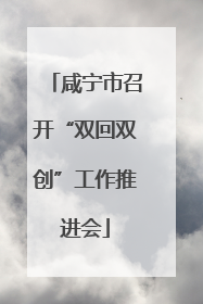 咸宁市召开“双回双创”工作推进会