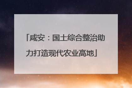 咸安：国土综合整治助力打造现代农业高地
