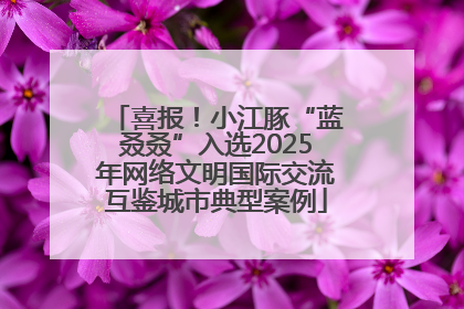 喜报！小江豚“蓝叒叒”入选2025年网络文明国际交流互鉴城市典型案例