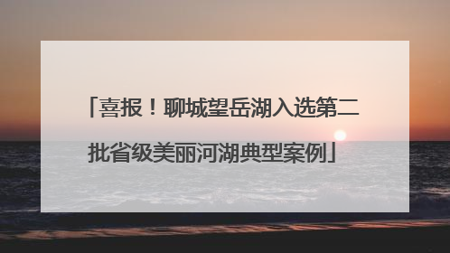 喜报！聊城望岳湖入选第二批省级美丽河湖典型案例