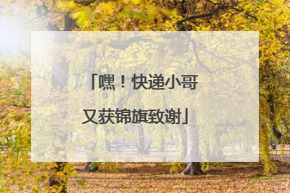 嘿！快递小哥又获锦旗致谢