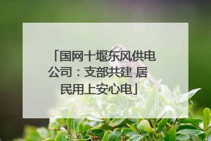 国网十堰东风供电公司：支部共建 居民用上安心电