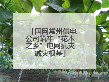 国网常州供电公司筑牢“花木之乡”电网抗灾减灾根基