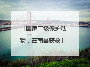 国家二级保护动物，在南昌获救