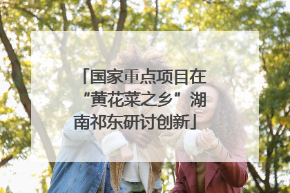 国家重点项目在“黄花菜之乡”湖南祁东研讨创新