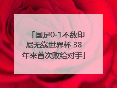国足0-1不敌印尼无缘世界杯 38年来首次败给对手