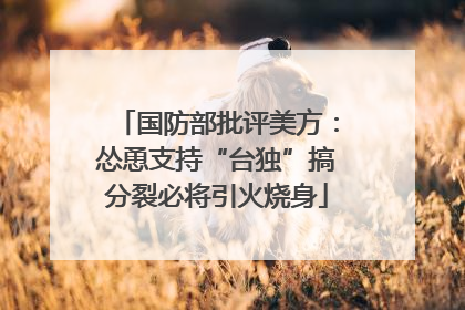 国防部批评美方：怂恿支持“台独”搞分裂必将引火烧身