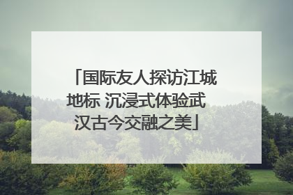 国际友人探访江城地标 沉浸式体验武汉古今交融之美